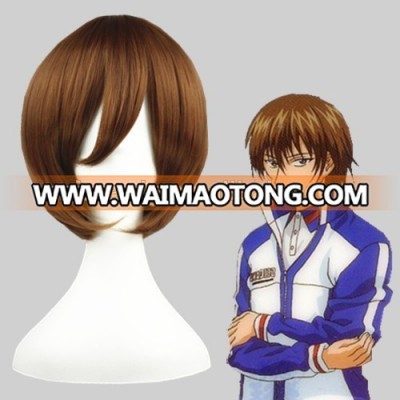 High Quality 35cm Short Straight Brown Synthetic Hair wig Anime Cosplay Wig Party Wig